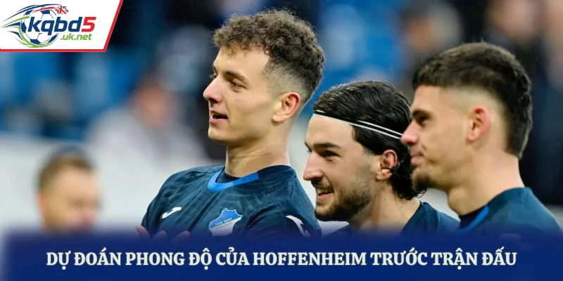 Dự đoán phong độ của Hoffenheim trước trận đấu