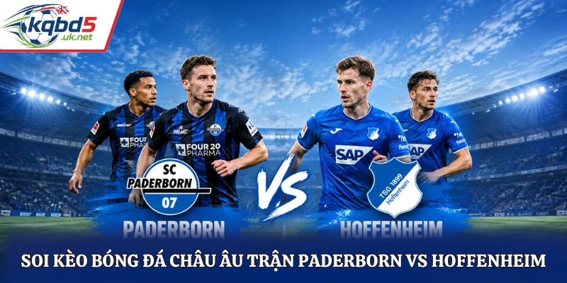 Soi kèo bóng đá châu Âu trận Paderborn vs Hoffenheim
